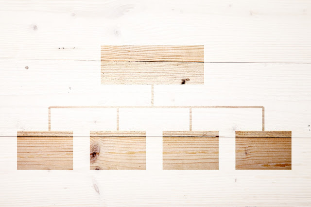 54% of organizations now have Chief Data Officers, but should mine?