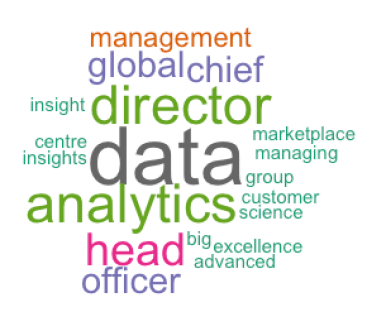 Terms used in the title of senior data professionals