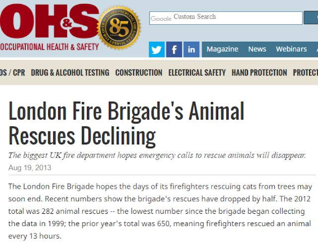 News article on the decline of animal rescue services.