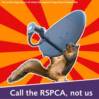 Poster encouraging citizens to call the RSPCA