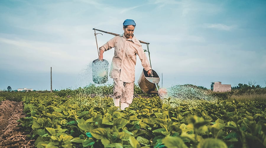 Farms 4.0: IoT to benefit agriculture