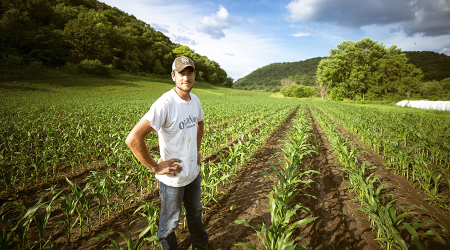 Smart Agriculture: from the plow to the drone