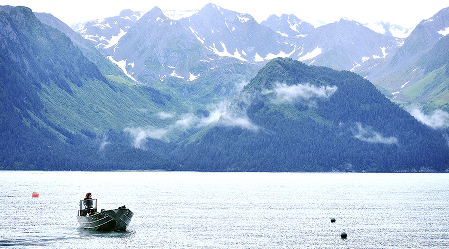 Safer and controlled waters with smart buoys