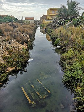 Deterioration of the salt marshes of el Mar Menor