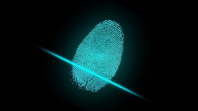 A digital fingerprint